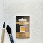 N°14 JAUNE DORE AQUARELLE EXTRA FINE CHARVIN DEMI GODET