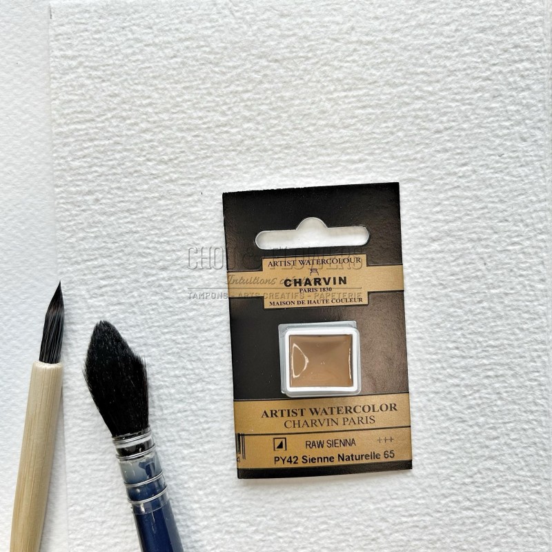 N°65 SIENNE NATURELLE AQUARELLE EXTRA FINE CHARVIN DEMI GODET