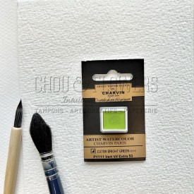 N°53 VERT VIF EXTRA AQUARELLE EXTRA FINE CHARVIN DEMI GODET