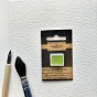 N°53 VERT VIF EXTRA AQUARELLE EXTRA FINE CHARVIN DEMI GODET