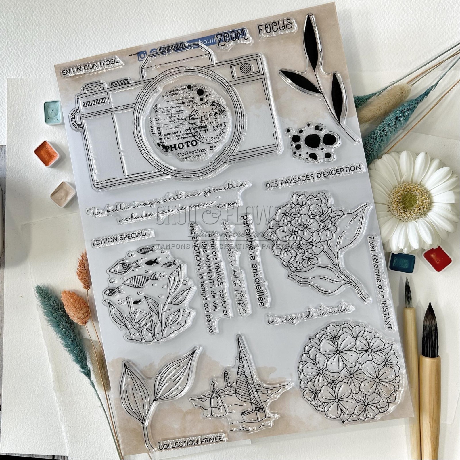 Sangle De Sécurité (leash) Pour Planche De Surf Ou Paddle - 5mm X 10 Pieds (3m) - TPU Résistant