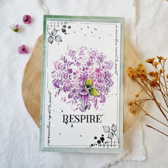 tampon clear le cadran de la collection vibrations de Chou and Flowers