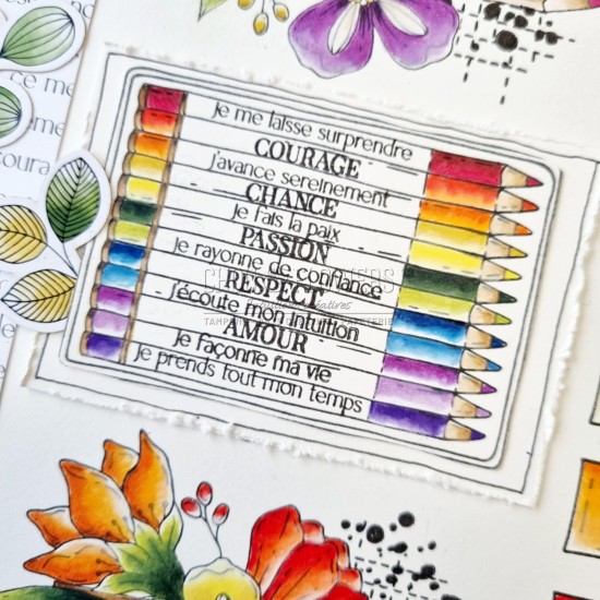 tampon clear crayons de couleur de la collection vibrations de chou and flowers