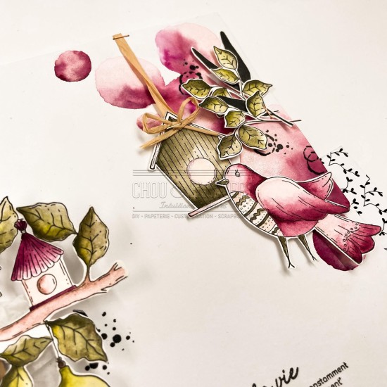 tampon clear L'amitié de la capsule exclusive Eclosion de Chou & Flowers