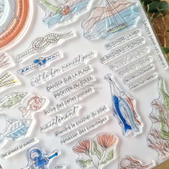 tampon clear Le hublot de la collection Rêve azur de Chou & Flowers