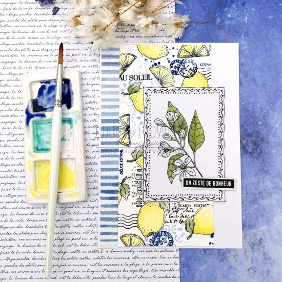 tampon clear Fleur de citronnier de la collection Rêve azur de Chou & Flowers