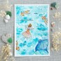 CLEAR DL LA DANSE DES RAIES de Chou and Flowers CLEAR DL LA DANSE DES RAIES de Chou and Flowers