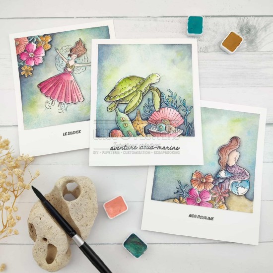CLEAR DL LA DANSE DES RAIES de Chou and Flowers
