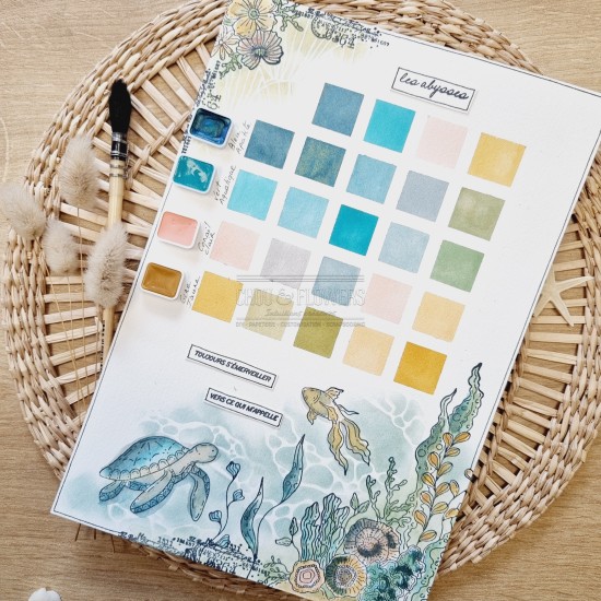 kit aquarelle Eclosion