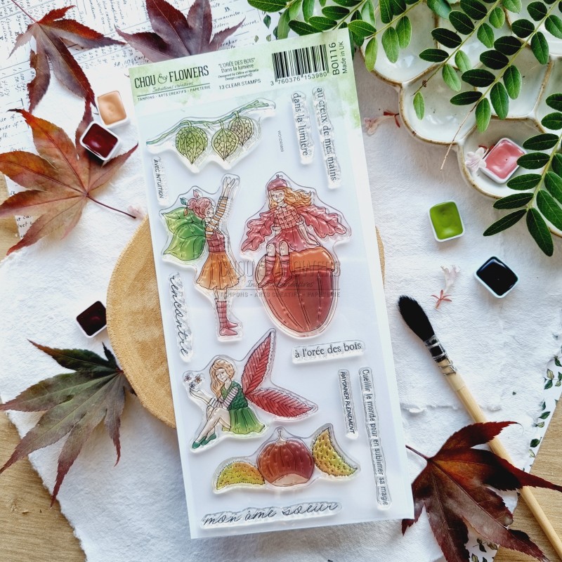 tampons clear dans la lumière de la collection L'Orée des bois
