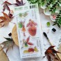 tampons clear dans la lumière de la collection L'Orée des bois