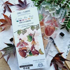 tampons clear dans la lumière de la collection L'Orée des bois