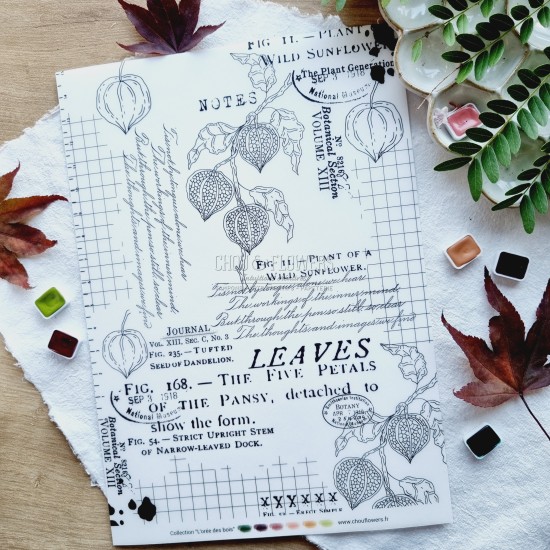 set de papiers Collection l'Orée des bois pour vos projets de scrapbooking, d'artjournal et de carterie