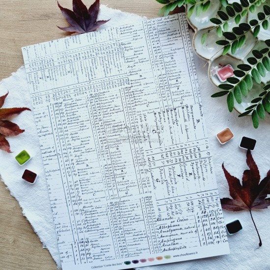 set de papiers Collection l'Orée des bois pour vos projets de scrapbooking, d'artjournal et de carterie