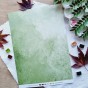 set de papiers Collection l'Orée des bois pour vos projets de scrapbooking, d'artjournal et de carterie set de papiers Collection l'Orée des bois pour vos projets de scrapbooking, d'artjournal et de carterie
