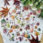 die cuts cueillette d'automne de la collection L'orée des bois