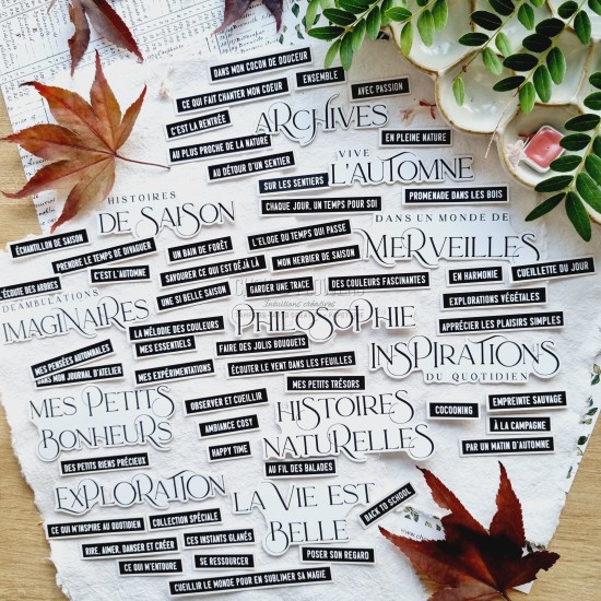die cuts mots d'automne de la collection L'orée des bois