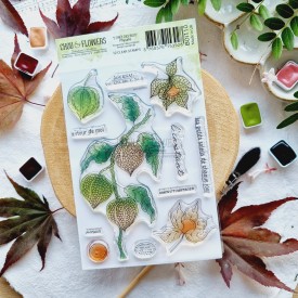 tampon clear Physalis de la collection L'orée des bois