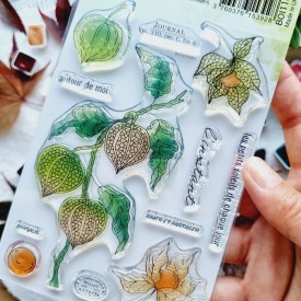 tampon clear Physalis de la collection L'orée des bois