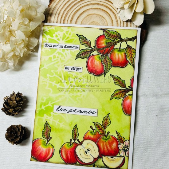 tampons clear LES POMMES de la collection L'Orée des bois