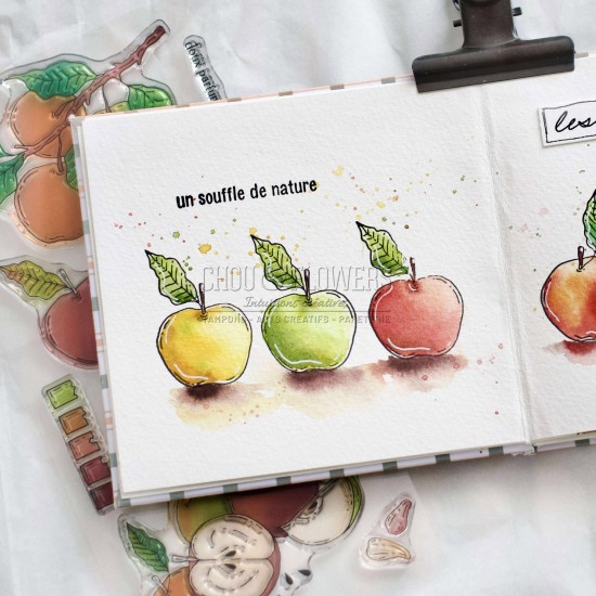 tampons clear LES POMMES de la collection L'Orée des bois