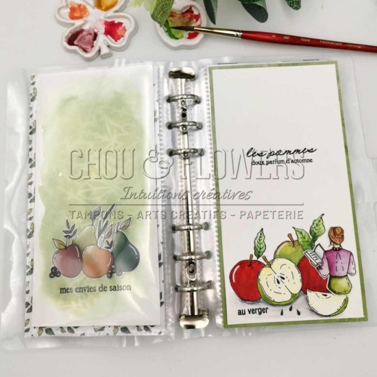 tampons clear LES POMMES de la collection L'Orée des bois