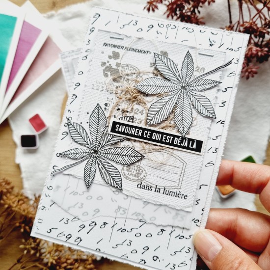 tampon clear notes d'automne de la collection L'orée des bois