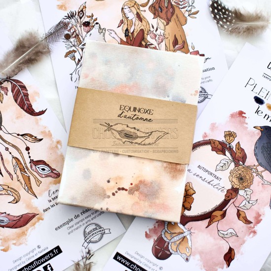tampon clear Les plumes de la capsule exclusive Pleine Lune