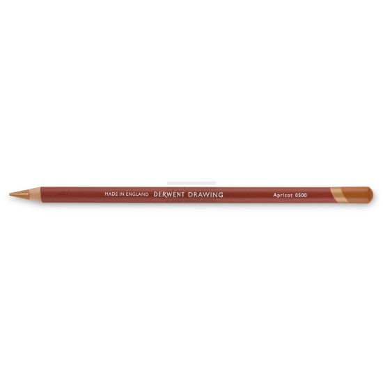 Crayon derwent drawing Apricot