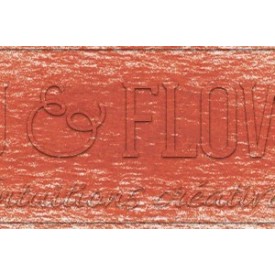 Crayon derwent drawing Autumn leaf