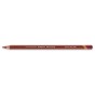 Crayon derwent drawing Autumn red