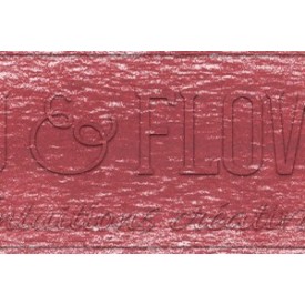 Crayon derwent drawing Autumn red