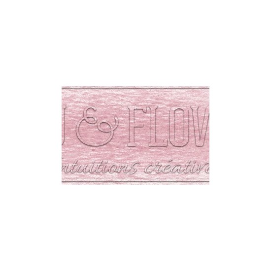 Crayon derwent drawing Ash rose