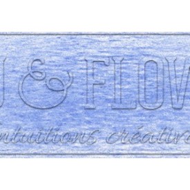 Crayon derwent drawing polar ice