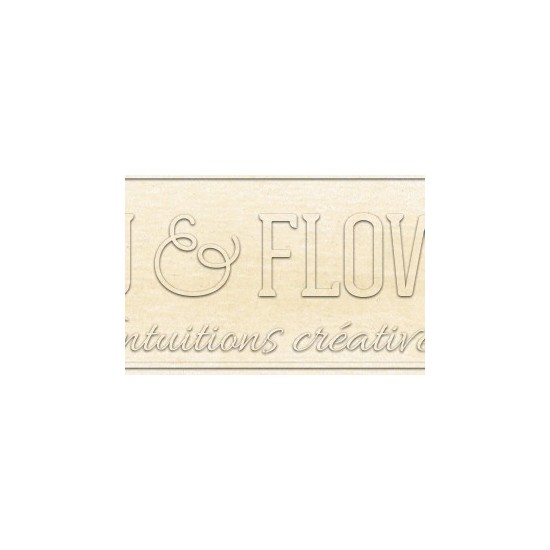 Crayon derwent drawing champagne