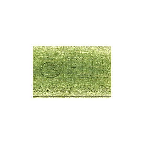 Crayon derwent drawing moss green