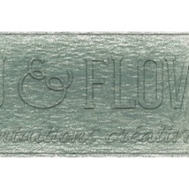 Crayon derwent drawing sage leaf