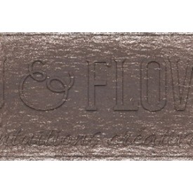 Crayon derwent drawing woodland