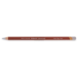 Crayon derwent drawing fossil grey
