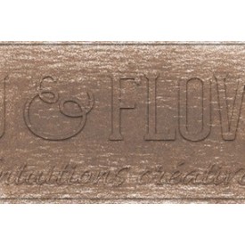 Crayon derwent drawing warm earth