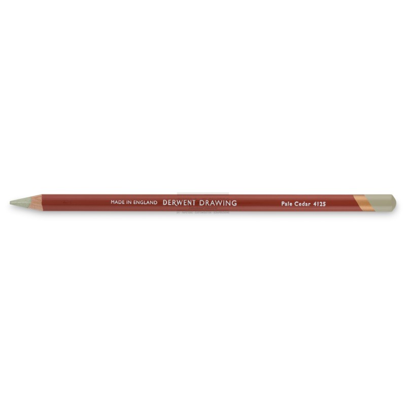 Crayon derwent drawing pale cedar