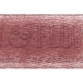 Crayon derwent drawing Ruby earth