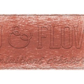 Crayon derwent drawing mars orange