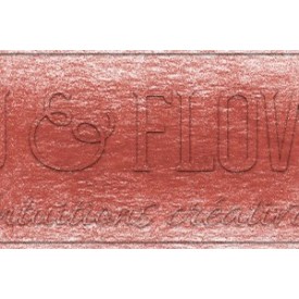 Crayon derwent drawing sanguine