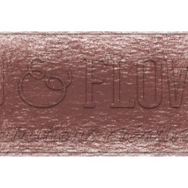 Crayon derwent drawing venetian red