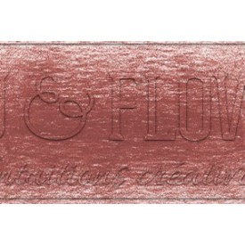 Crayon derwent drawing TERRACOTTA