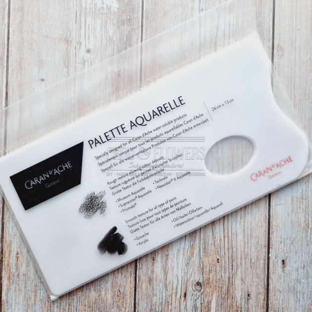 palette aquarelle de Carand'Ache