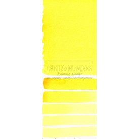 Aquarelle extra-fines Daniel Smith