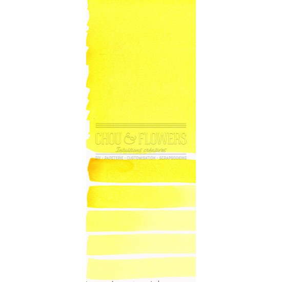 Aquarelle extra-fines Daniel Smith