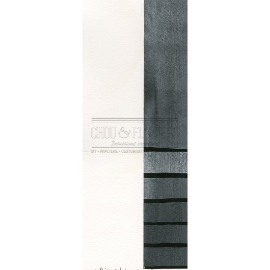 Aquarelle extra-fines Daniel Smith